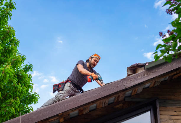 Best Roof Installation  in Montana City, MT