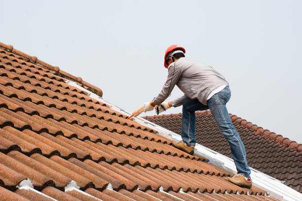 Best Steel Roofing  in Montana City, MT